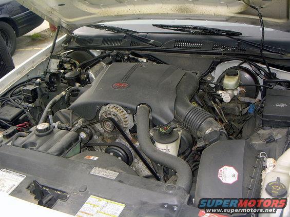 Engine bay of a white vehicle, showing the V8 engine and various components