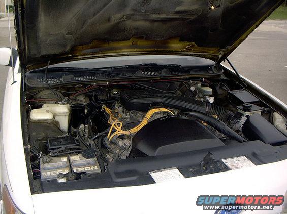 1999 Ford Crown Victoria engine bay with hood open, showing V8 engine and battery