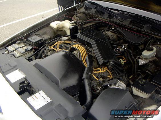 Engine bay of a 1999 Ford Crown Victoria. Shows the V8 engine, battery, and air intake system
