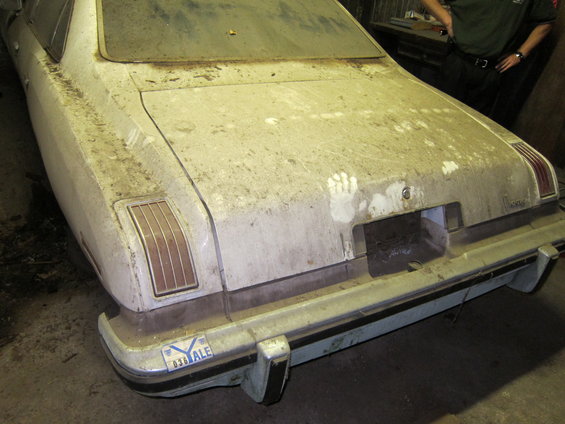 White sedan's dusty rear bumper and taillights, with a license plate reading '036 ALE'
