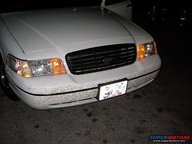 1999 Ford Crown Victoria photo