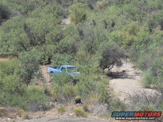 Blue pickup truck partially obscured by brush on a dirt path