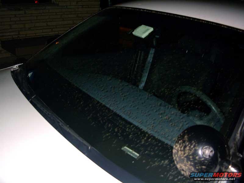 1999 Ford Crown Victoria photo