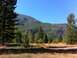 1990 Ford Bronco - A wide view of a mountain covered in trees, with a field of dry grass in the foreground under a clear blue sky.