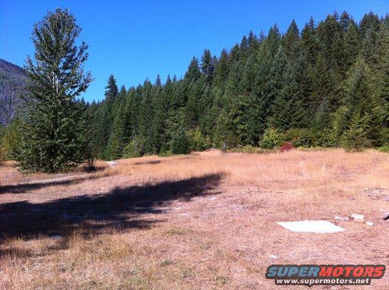 Dry grassy field with trees and a clear blue sky