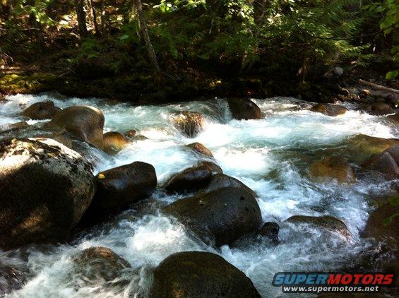 Fast-moving river water flowing over large, dark rocks in a wooded area. Water is white and foamy