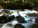 1990 Ford Bronco - A scenic view of a river with whitewater rapids flowing over boulders in a forest.
