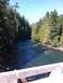 1990 Ford Bronco - A scenic view of a river winding through a dense forest, with a wooden bridge railing visible in the foreground.