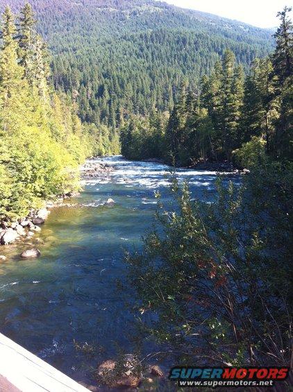 Mountain river flowing through a dense forest