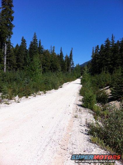 Gravel road winding through a dense forest with tall evergreen trees under a clear blue sky. Supermotors.net logo in the corner