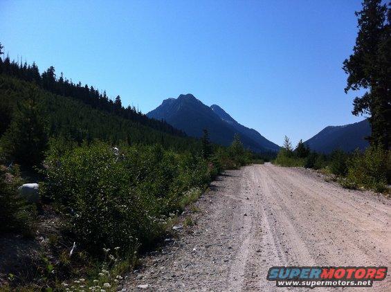 Gravel road leading through a forested mountain valley under a clear blue sky