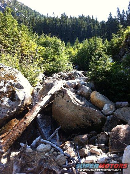 Rocky stream bed with trees and boulders