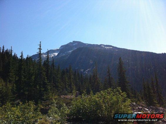 Mountain landscape with pine trees and a clear blue sky