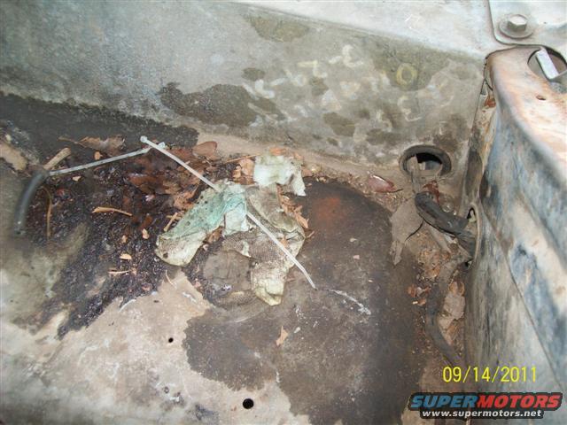 Engine bay floor with leaves, dirt, and rags. Visible text '3-29-31'