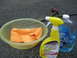 2003 Ford Crown Victoria - Supplies for washing a car: a bowl with a towel, spray cleaner, and car wash soap.