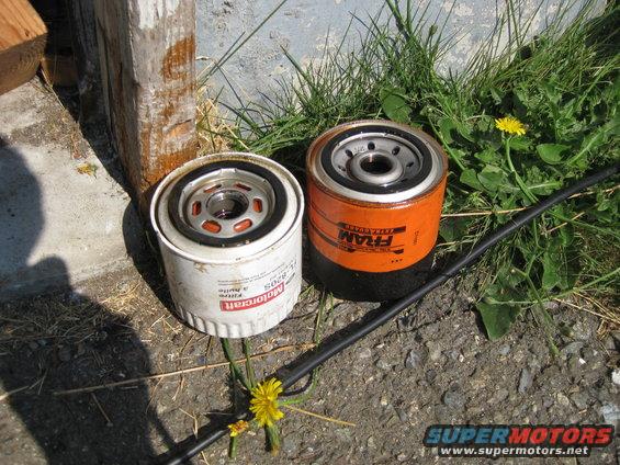 Two oil filters, one white Motorcraft FL-820S and one orange FRAM, sit on gravel and grass next to a wooden post