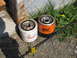 2003 Ford Crown Victoria - Two oil filters, a white Motorcraft and an orange FRAM, are placed on the ground outdoors.