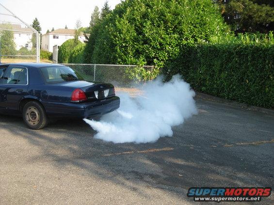 Dark blue 2003 Ford Crown Victoria rear view, emitting thick white smoke from dual exhaust pipes
