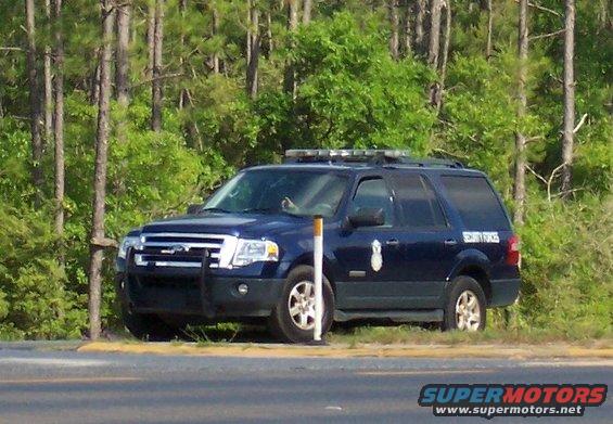 Dark blue Ford Expedition with "SECURITY FORCES" text on rear door, parked near trees