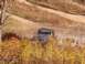 1986 Ford Bronco - A green 1986 Ford Bronco navigates a muddy dirt road surrounded by autumn foliage.