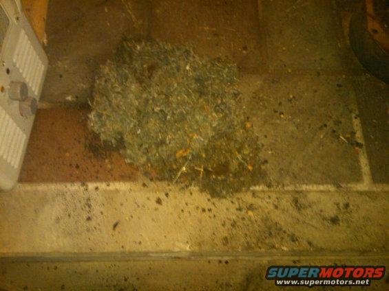 Pile of grass clippings on a dirty floor next to a vent