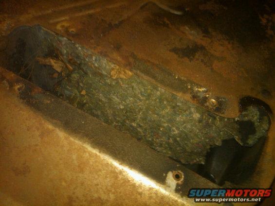 Rusted metal floor with debris and worn carpet padding