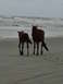 DSC01050.jpg