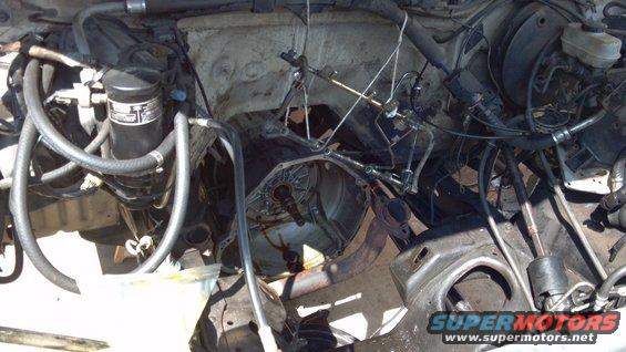 Engine bay with transmission removed, showing hoses and some engine components