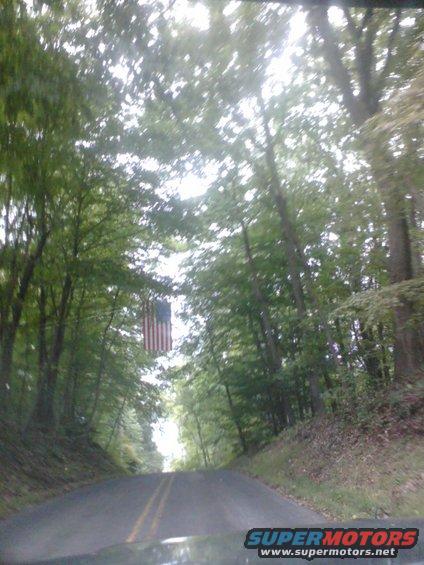 p_00203.jpg
