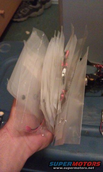 imag0455.jpg 