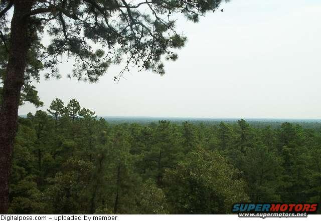 apple1.jpg apple pie hill 1