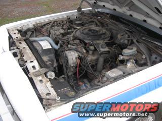 1991 Ford Crown Victoria “Boston Police Restoration”