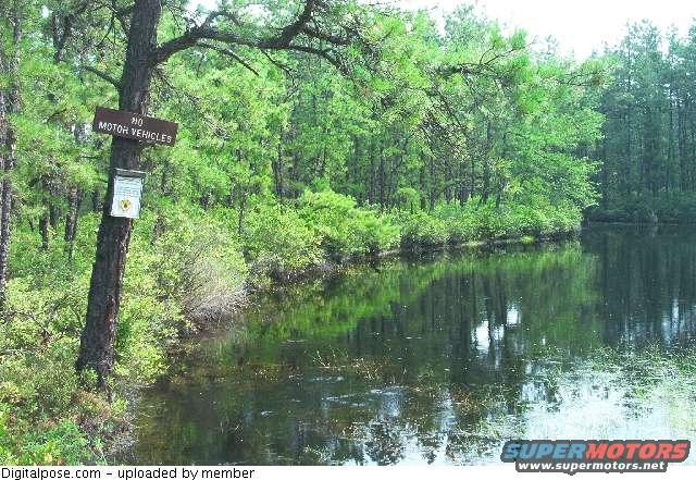 Sign on a tree reads 'NO MOTOR VEHICLES' next to a calm body of water and dense green foliage