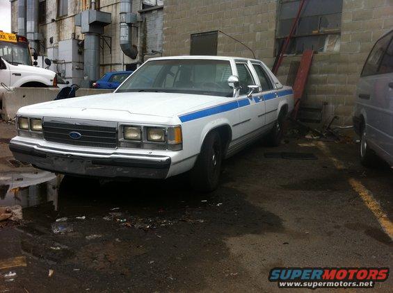 car-arrives-8.jpg 