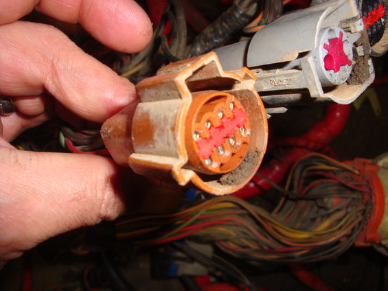 460-swap-885.jpg 