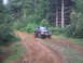 1979 Ford Bronco - 1979 Ford Bronco navigates a dirt track in a wooded area.