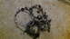 1979 Ford Bronco - Damaged bearing components scattered on a concrete surface, indicating a mechanical failure.