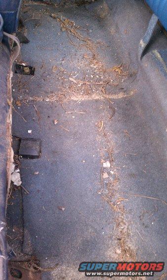 car floor covered in dirt and debris