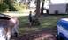 IMAG0257.jpg