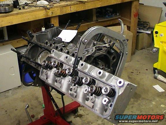 dsc00100.jpg First spring took an half an hour, last one took 30 seconds