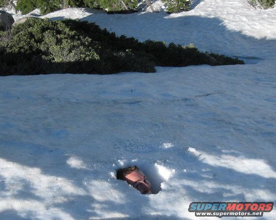Person's head emerging from a hole in the snow, with bushes and trees in the background