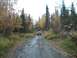 1979 Ford Bronco - Two SUVs navigate a muddy dirt road surrounded by trees in fall colors.
