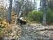 1979 Ford Bronco - A yellow Jeep navigates a challenging off-road path covered in fallen leaves and rocks.