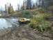 1979 Ford Bronco - A yellow off-road vehicle tackles a challenging muddy path with dense foliage on the side.