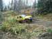 1979 Ford Bronco - Yellow Jeep Cherokee XJ navigates a rough dirt path through a wooded area.