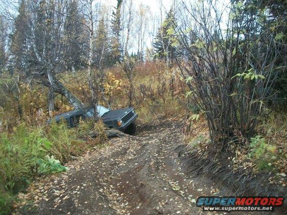 Jeep Cherokee stuck off-road, leaning against a tree on a dirt path