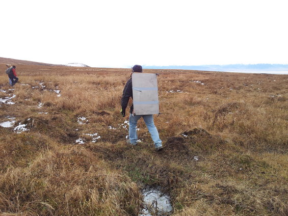 Person carrying large rectangular object on back in a dry, grassy field