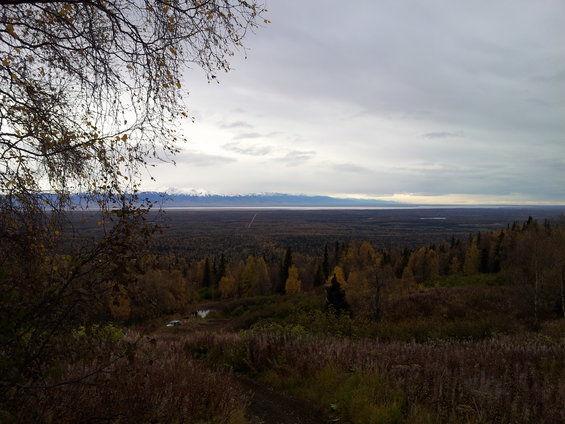 Overcast sky above a vast forest and distant mountains. Some trees have yellow leaves