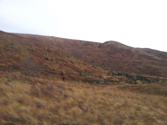 Blurry mountain landscape with dry grass in the foreground and brown and green vegetation on the hills under a white sky