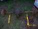 100_1176.JPG